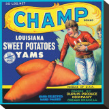 Champ Brand Louisiana Sweet Potatoes, Yams Stretched Canvas Print