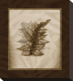 Japanese Painted Fern Study I Sepia Stretched Canvas Print by Melinda Bradshaw