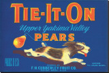 Tie-It-On Upper Yakima Valley Pears Stretched Canvas Print