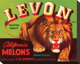 Levon Brand California Melons Stretched Canvas Print