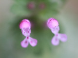 Lover Photographie par Ryuji Adachi