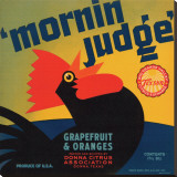 Mornin Judge Grapefruit and Oranges Stretched Canvas Print
