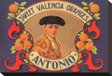 Antonio Sweet Valencia Oranges Stretched Canvas Print