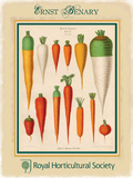 Ernst Benary Carrots Cartel de chapa por Ernst Benary Ernst Benary Carrots Cartel de chapa por Ernst Benary