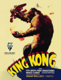 King Kong Blechschild