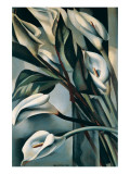 Arums II Wydruk giclee premium autor Tamara De Lempicka Arums II Wydruk giclee premium autor Tamara De Lempicka