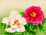 Shuchwika and Fuyo-ko Plakietka emaliowana