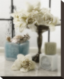 Serene Gardenia Stretched Canvas Print by Dan Magus