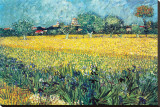 View of Arles with Irises Stretched Canvas Print by Vincent van Gogh