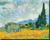 Campo de Trigo Verde com Ciprestes, c.1889 Impressão em tela esticada por Vincent van Gogh Campo de Trigo Verde com Ciprestes, c.1889 Impressão em tela esticada por Vincent van Gogh