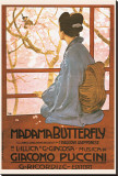 Madama Butterfly Stretched Canvas Print