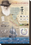 The Genius of Charles Darwin Stretched Canvas Print