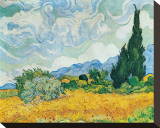 Wheatfield with Cypresses, c.1889 Stretched Canvas Print by Vincent van Gogh