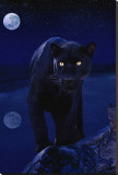 Black Panther in Moonlight Stretched Canvas Print