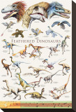 Feathered Dinosaurs II Stretched Canvas Print