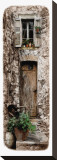 Doorway With Vines Stretched Canvas Print by Jean Onesti