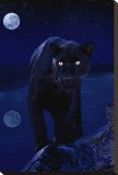 Black Panther in Moonlight Reproducción en lienzo de la lámina Black Panther in Moonlight Reproducción en lienzo de la lámina