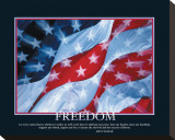 Freedom Stretched Canvas Print