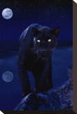 Black Panther in Moonlight Stretched Canvas Print