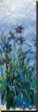 Iris Mauve (detail) Stretched Canvas Print by Claude Monet