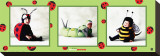 Baby Bugs Stretched Canvas Print by Tom Arma