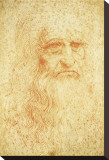Self-Portrait Płótno naciągnięte na blejtram - reprodukcja autor Leonardo da Vinci Self-Portrait Płótno naciągnięte na blejtram - reprodukcja autor Leonardo da Vinci