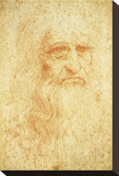 Self-Portrait Stretched Canvas Print by Leonardo da Vinci 