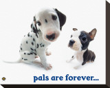 Pals Are Forever Stretched Canvas Print by Yoneo Morita
