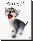 Arrrgg! Stretched Canvas Print by Yoneo Morita
