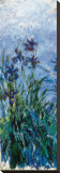 Iris Mauve (detail) Stretched Canvas Print by Claude Monet