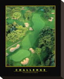Challenge Stretched Canvas Print
