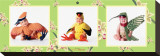 Baby Birds Stretched Canvas Print by Tom Arma