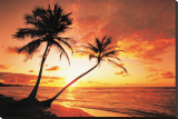 Tropical Beach Sunset Stretched Canvas Print Tropical Beach Sunset Stretched Canvas Print