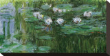 Waterlilies Stretched Canvas Print by Claude Monet