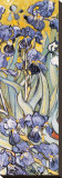 Irises, Saint-Remy, c.1889 (detail) Stretched Canvas Print by Vincent van Gogh