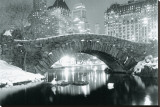 Winter in Central Park Stretched Canvas Print