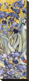 Irises, Saint-Remy, c.1889 (detail) Stretched Canvas Print by Vincent van Gogh