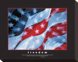 Freedom Stretched Canvas Print