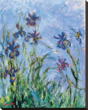 Irises (detail) Stretched Canvas Print by Claude Monet