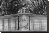 Oak Alley Plantation, Louisiana Stretched Canvas Print