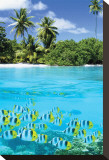 Tropical Scenery II Reproducción en lienzo de la lámina