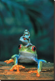 Frogs Stretched Canvas Print