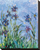 Irises (detail) Stretched Canvas Print by Claude Monet