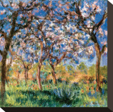 Spring in Giverny Stretched Canvas Print by Claude Monet