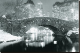 Winter in Central Park Stretched Canvas Print