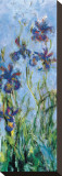 Irises (detail) Stretched Canvas Print by Claude Monet