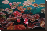 Red Water Lilies Stretched Canvas Print by Pamela Jablonski