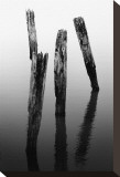 Four Pier Pilings Stretched Canvas Print by Shane Settle