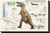 Tyrannosaurus Stretched Canvas Print by Libero Patrignani