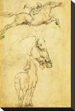 Esbozo de un caballo Reproducción en lienzo de la lámina por Leonardo da Vinci